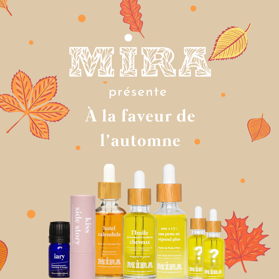 a-la-faveur-de-l-automne