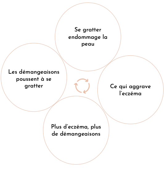 schéma résumé du cycle démangeaisons-égratinures